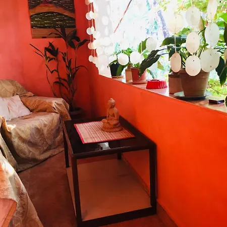 Cozy Dream Apartment Anjuna Exterior photo
