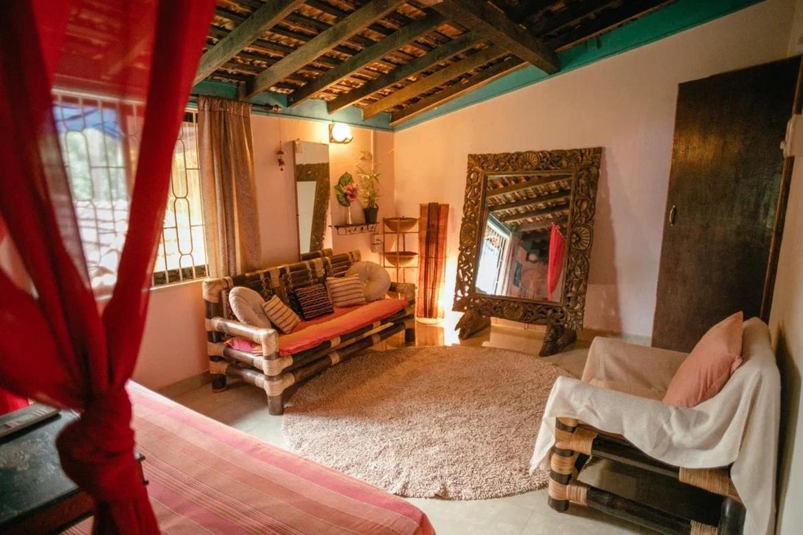 Cozy Dream