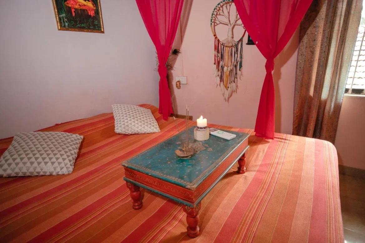 Cozy Dream