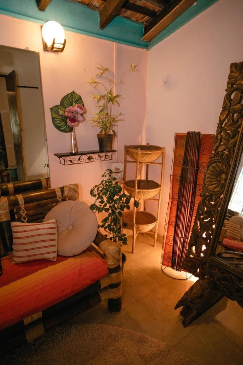 Cozy Dream Apartment