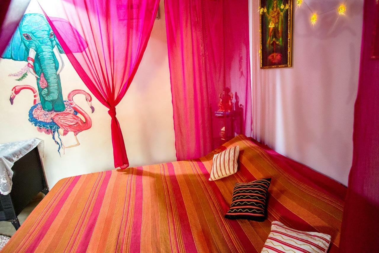 Cozy Dream *